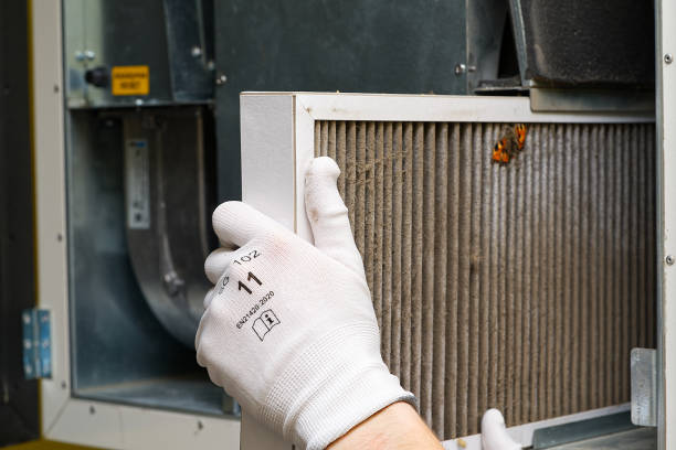 Best Local Air Duct Cleaning Services  in Carlyss, LA