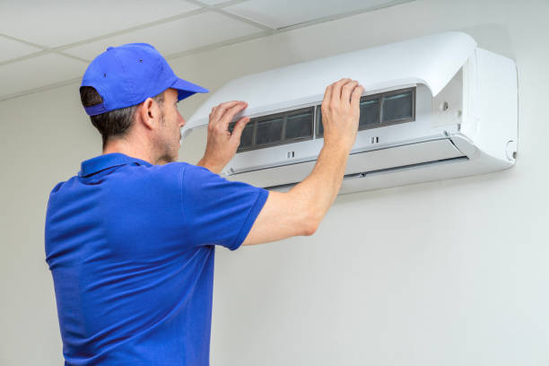 Air Duct Mold Removal in LA