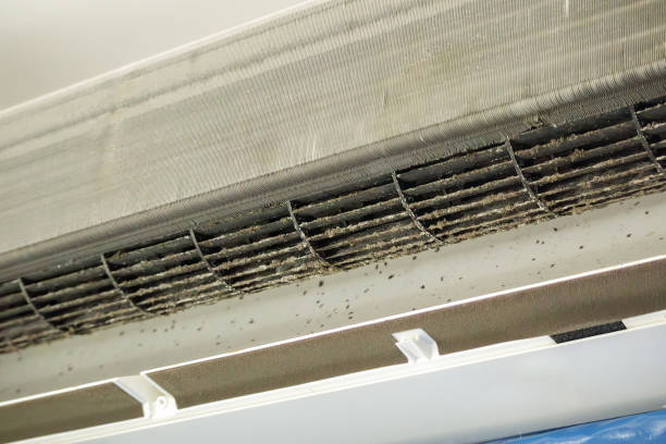 Best Commercial HVAC Duct Cleaning  in Carlyss, LA
